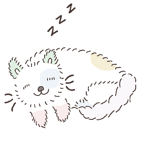 a rainbow cat