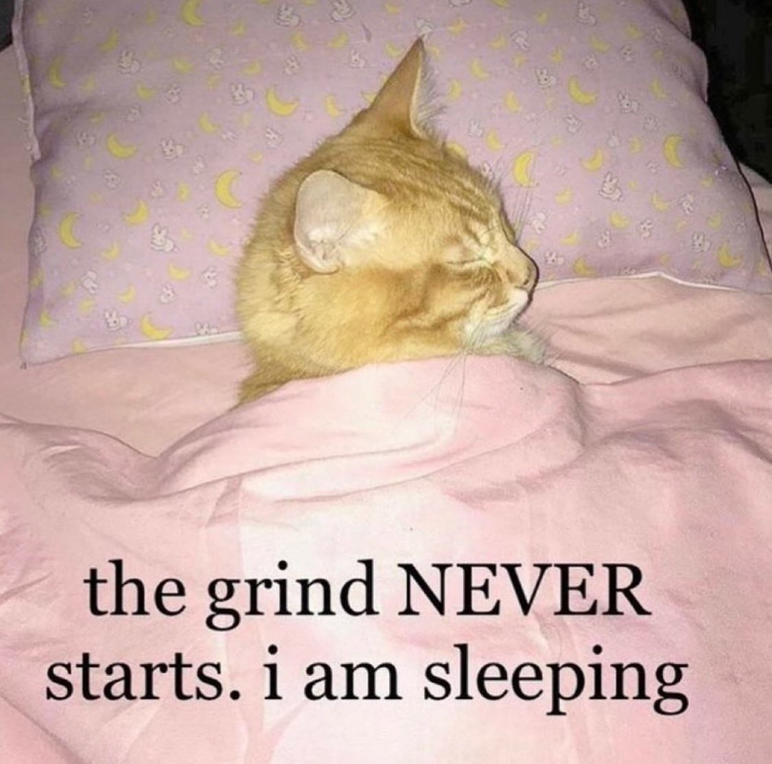 the grind never starts i'm sleeping