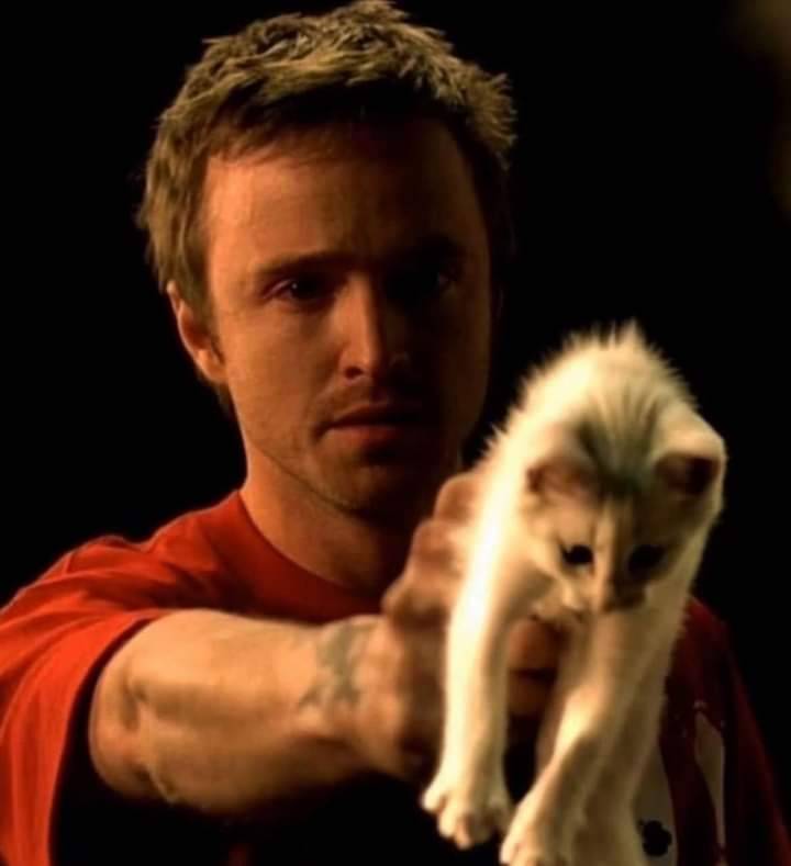 jesse from breaking bad holding a cat