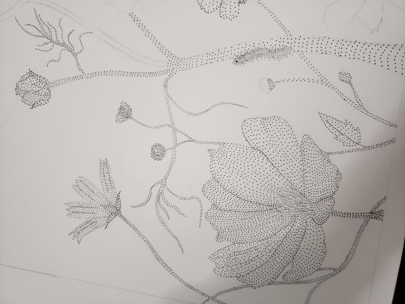 drawing of flowers