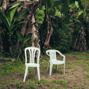 DeBÍ TiRAR MáS FOToS album cover. features a plastic white chair with a plantain tree in the background