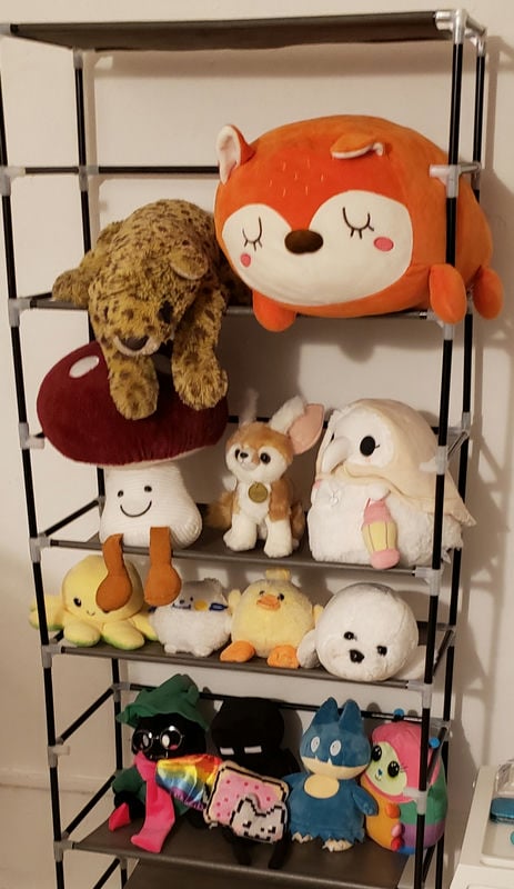 my collection of plushies. in a shoerack