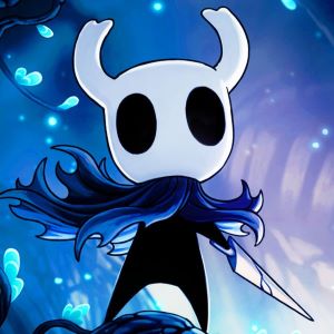 hollow knight